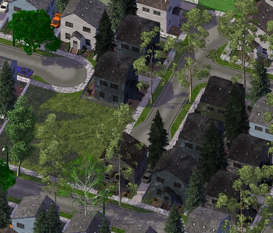 simspriv.jpg